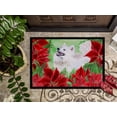 thumbnail image 3 of Carolines Treasures CK1339JMAT Tapis Intérieur Ou Extérieur, 24 x 36 Po., 3 of 4