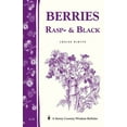 thumbnail image 1 of Pre-Owned Berries, Rasp- & Black: Storey Country Wisdom Bulletin A-33 (Paperback) by Louise Riotte, 1 of 1