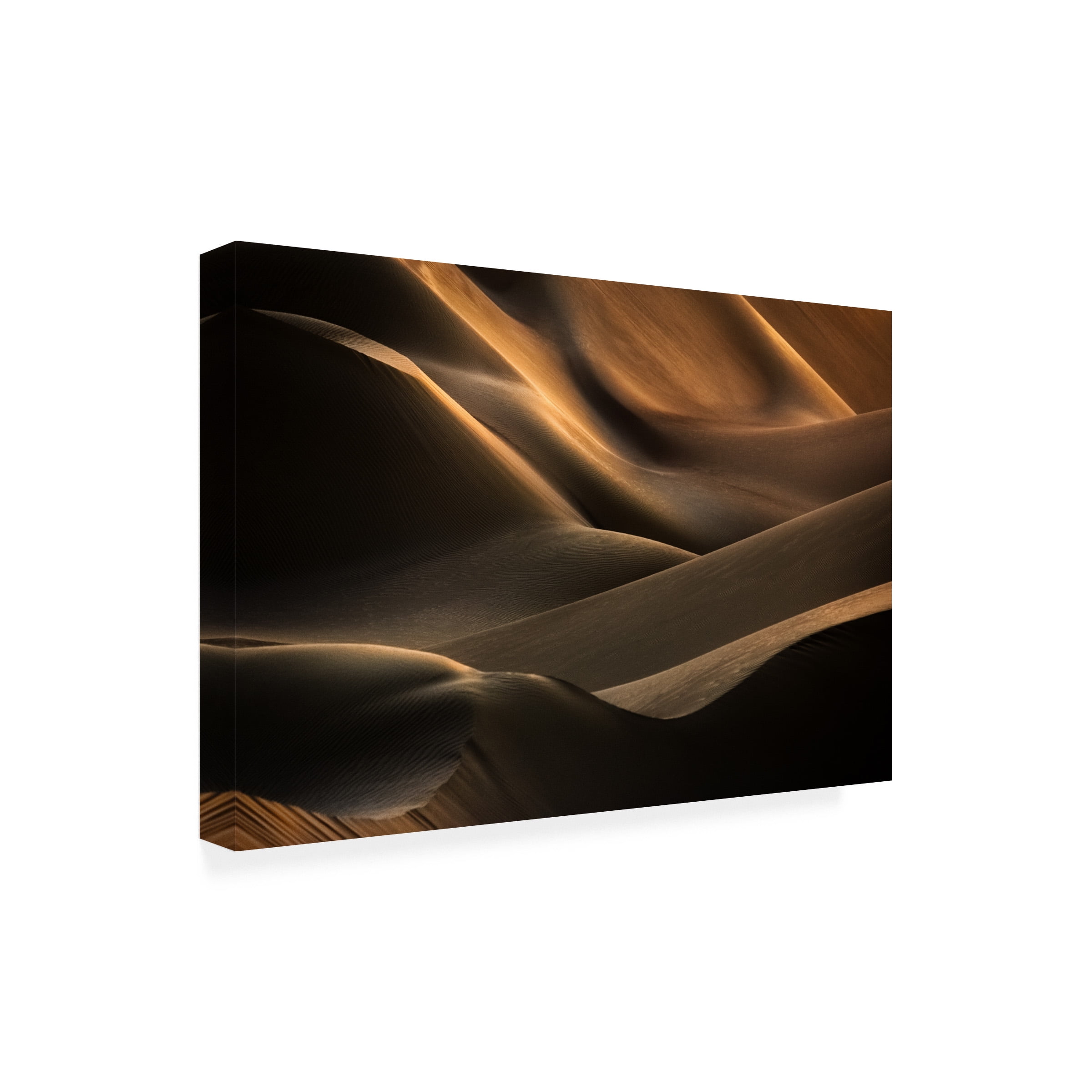Babak Mehrafshar 'Clamorous Desert' Canvas Art