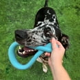 thumbnail image 4 of Nylabone Tuug Interactive Dog Toy for Dog Enrichment, Firm Yet Flexible Dog Tug Toy, 4 of 14