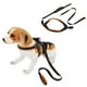 thumbnail image 2 of Collar Correa para mascotas, Collar de correa de nailon para mascotas Correa para perros pequeños, medianos y grandes Correa de nailon Estándares líderes en la industria, 2 of 11