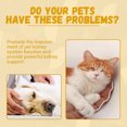 thumbnail image 3 of pet nutrition supplements enhance the energy and vitality of cats and dogs, supplement nutrition, and provide pet body care, 3 of 5