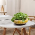 thumbnail image 4 of Dtchengua 7 Inch Ceramic Bonsai Pots with Drainage Hole, Shallow Planter for Indoor Outdoor, Round Planter, Cactus Pot, Office Decor for Plant Lovers,Yellow, 4 of 6