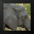 thumbnail image 2 of Bennion, Scott 15x15 Black Modern Framed Museum Art Print Titled - female elephant - Zabia, 2 of 5