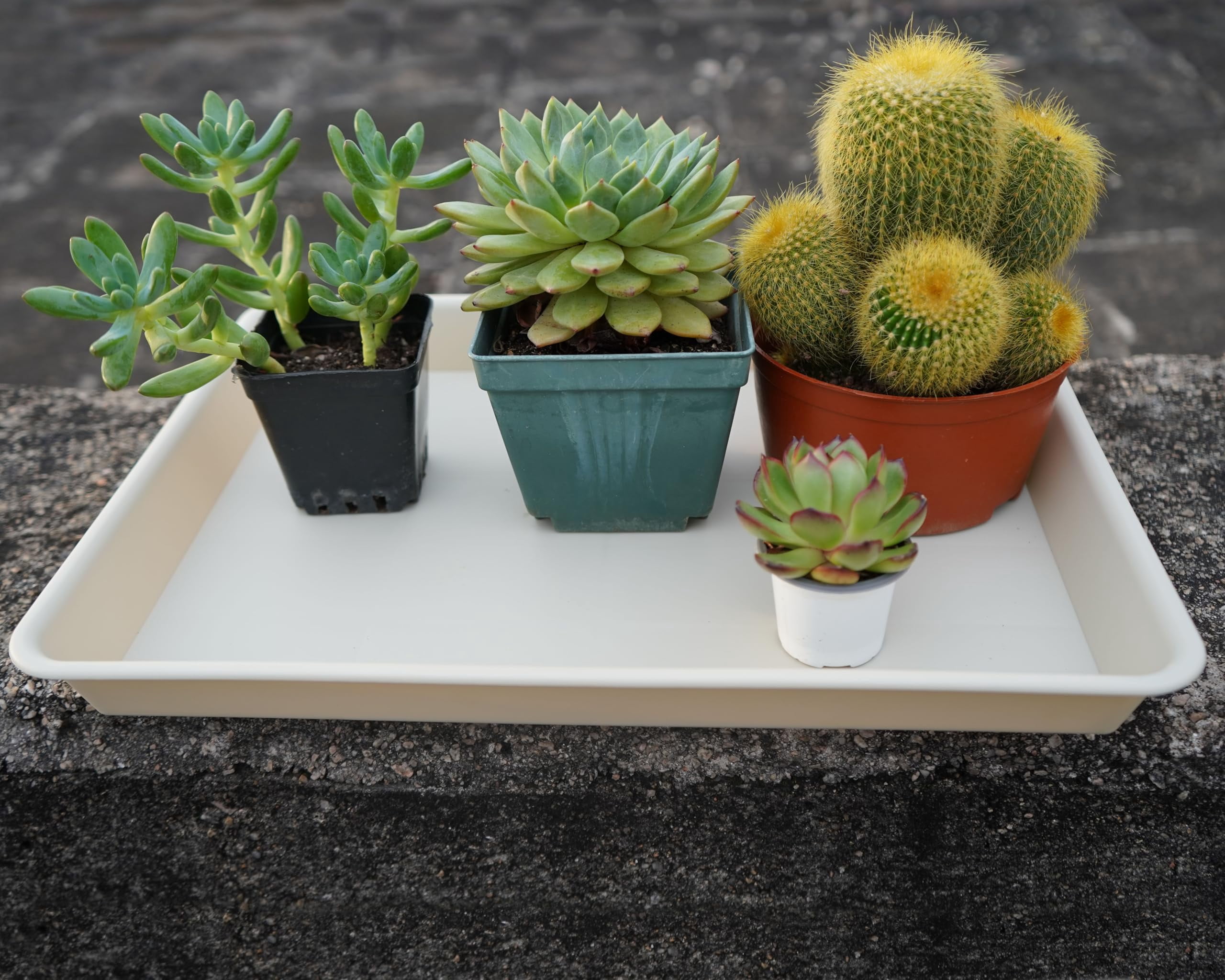 Plant Saucer Growing Tray Set 2-Pack 11x9 Inch Heavy Duty Plastic Seed Starter Trays with Drainage for Indoor Outdoor Pots Gardening Supplies