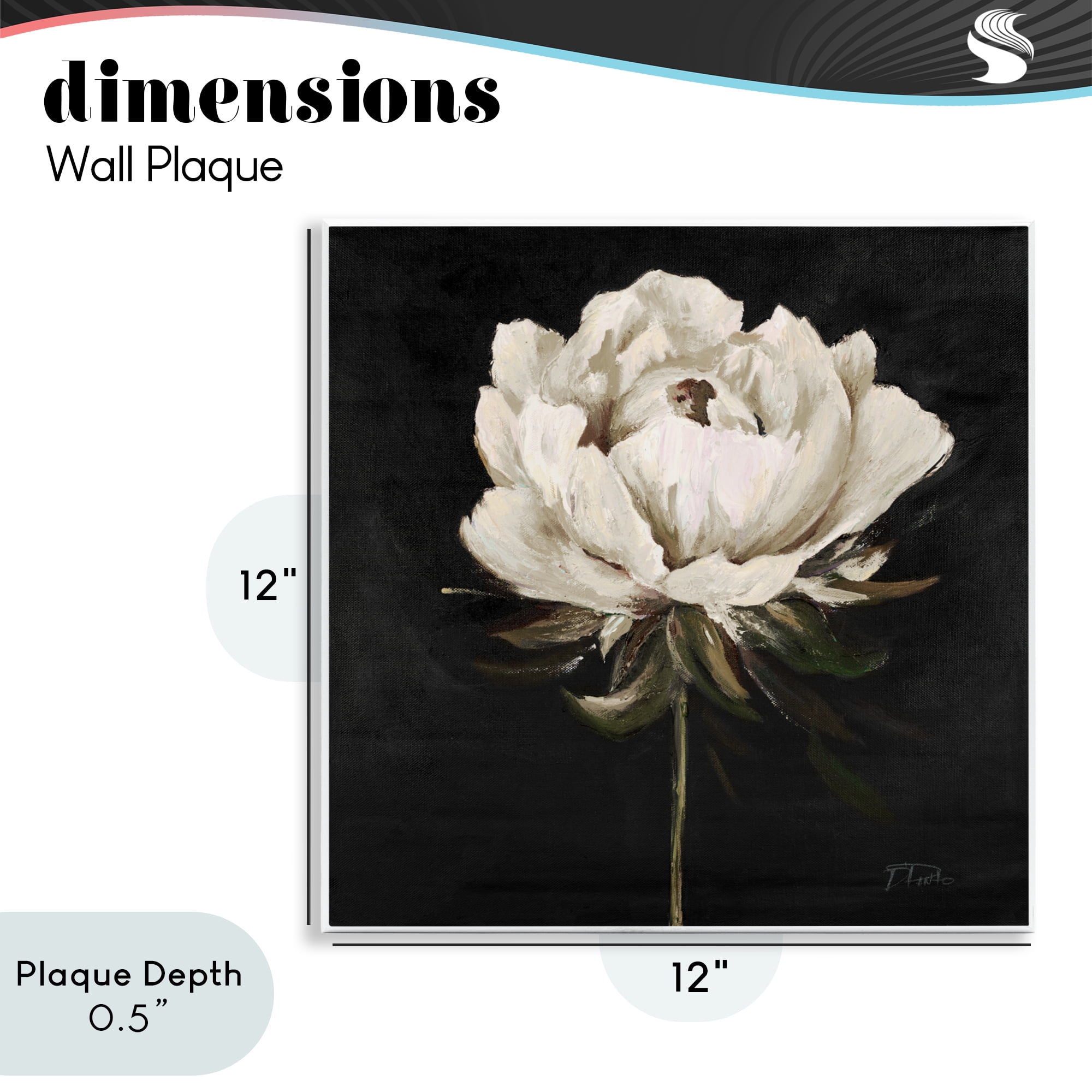 Stupell Industries Pretty Delicate Bloom on Black Wall Plaque Art, design by Patricia Pinto