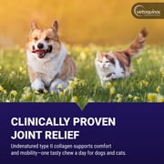Vetoquinol Flexadin Advanced joint supplement for dogs and cats, once-daily formula with UC-II collagen, clinically proven and vet-recommended, 30 soft chews