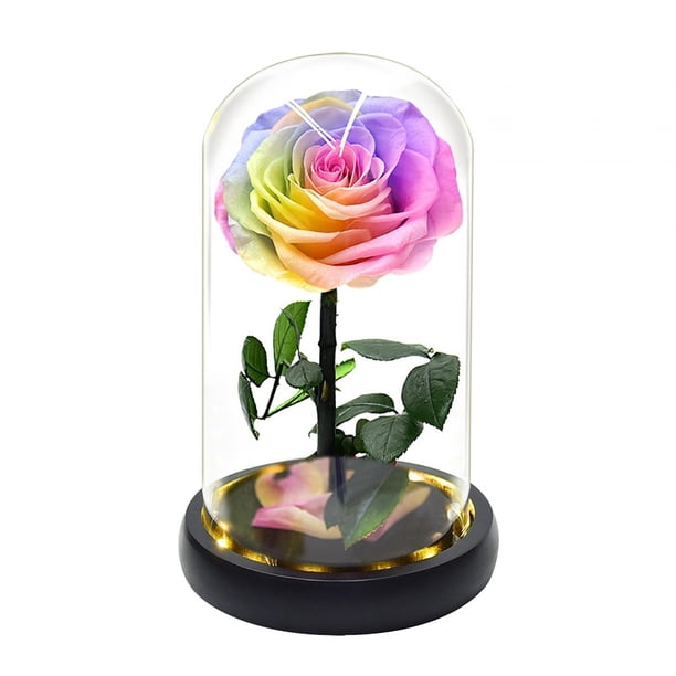 Regalos de San Valentín para hombres con flores preservadas en cúpula de cristal. Decoración para el día de San Valentín. Vistoso