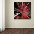 thumbnail image 3 of Trademark Fine Art "I Can't Believe It" Canvas Art by Philippe Sainte-Laudy, 3 of 4