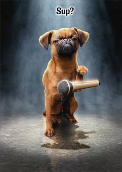 Avanti Press Pug Dog In Pearls Birthday Greeting Card-New 