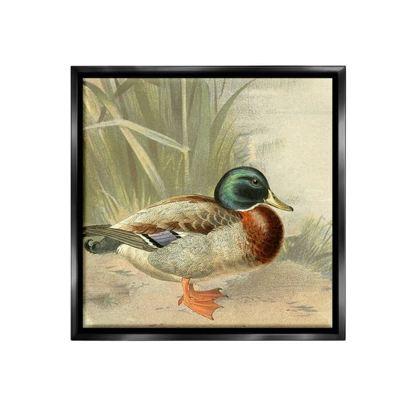 Stupell Industries Traditional Duck & Pond Animals & Insects Painting Black Floater Framed Canvas Art Print Wall Art, 18 x 18
