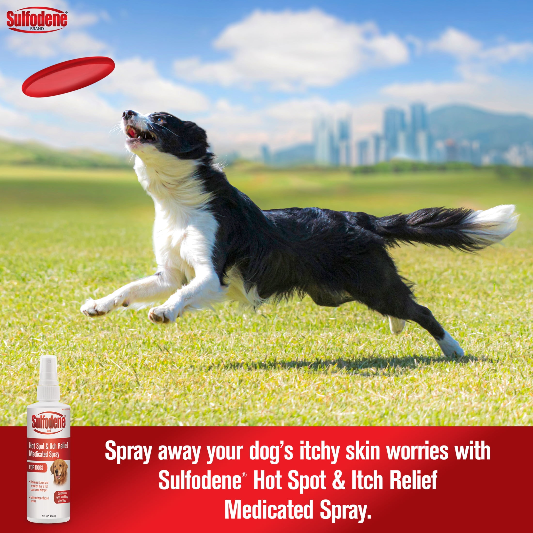 Sulfodene Hot Spot & Itch Relief Medicated Spray for Dog 8 Fluid Ounce