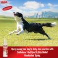 thumbnail image 2 of Sulfodene Medicated Spray for Dogs, Hot Spot and Itch Relief, 8 fl oz, 2 of 8