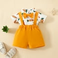 thumbnail image 5 of Otqutp Birthday Romper for Toddler Baby Girls Smocked Outfits Carrot Print Short Sleeve Triangle Bodysuit Shorts 2 Piece Set, 5 of 9