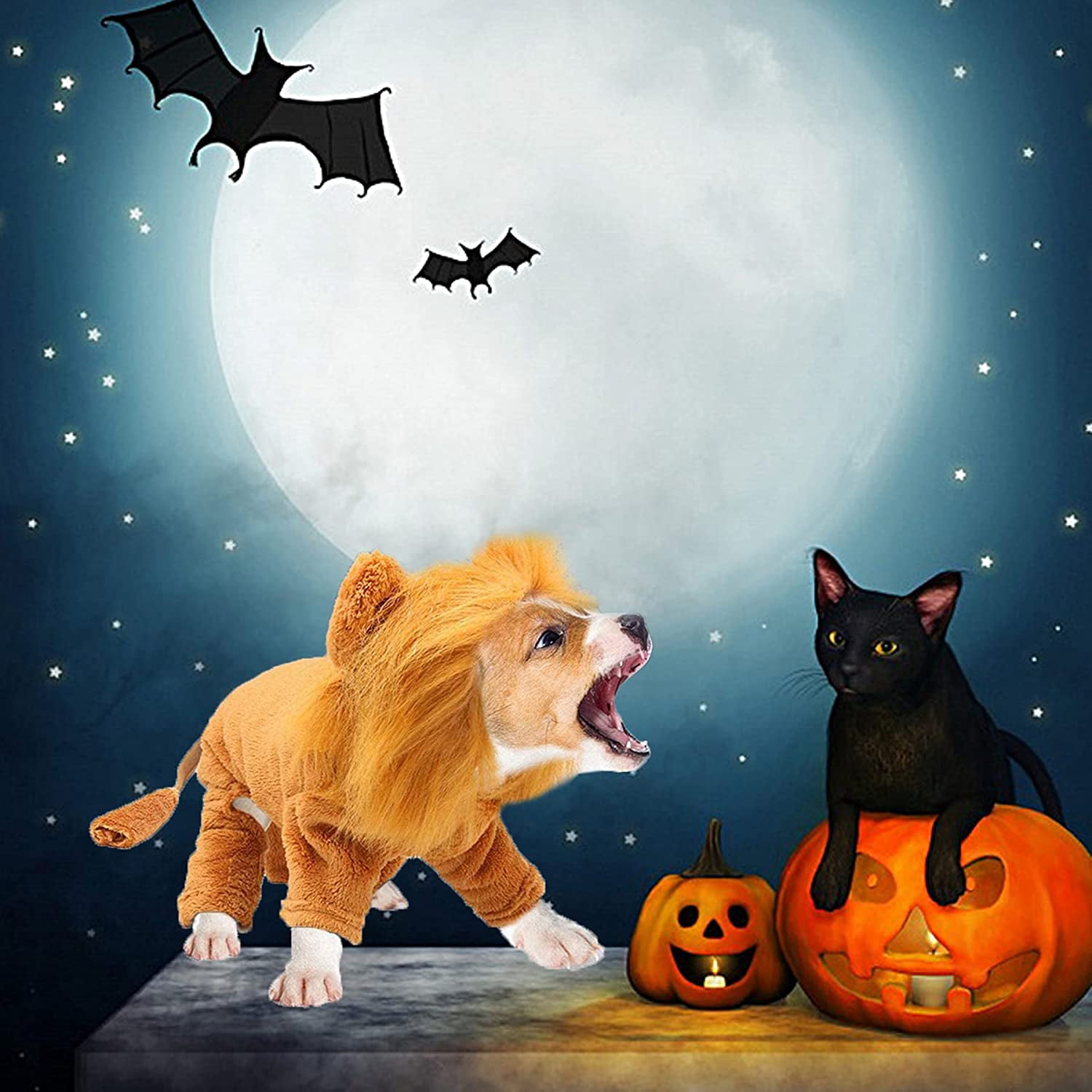 Dog lion halloween costume hot sale