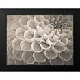 thumbnail image 2 of Frank, Assaf 18x15 Black Modern Framed Museum Art Print Titled - Dahlia Flowers, 2 of 5