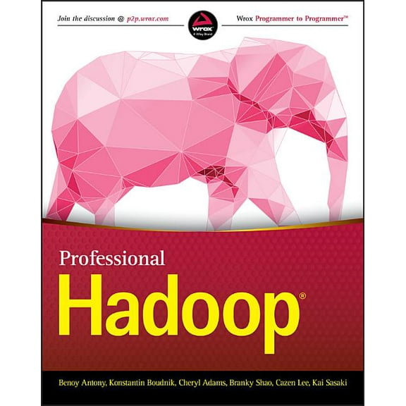 Professional Hadoop (Paperback)