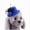 91#Blue, variant on Pet Summer Cap Dog Hat Visor Outdoor, Feathers Lace Sun Protection Hat for Small Dogs Cats, Cute Adjustable Breathable Headwear, Party Travel Festival Accessory for Pet Fashion