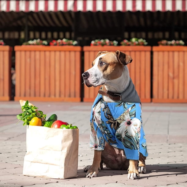 Ropa para Perros Mascotas Camisas con Estampados Trajes con Lazos de Moño Estilo Caballero para Perros y Gatos Trajes de Pirata