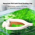 thumbnail image 2 of Visland Fish Feeding Ring Floating Feeder Aquarium Plant Rings Duckweed Management Tool Fish Tank Accessory Fishing Equipment, 2 of 7