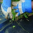 thumbnail image 4 of DeWitt 4-Pack 20 Year Weed Barrier Fabric 4.1 oz, Heavy-Duty Ground Cover, 4 x 250 Feet, 4 of 5