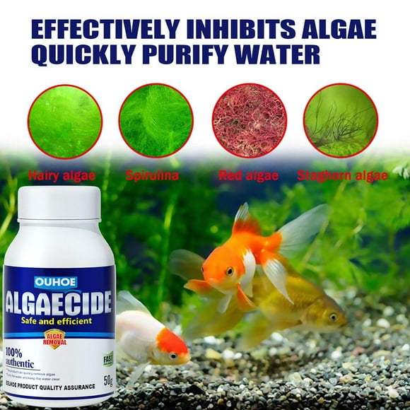 jinnoda Aquarium Algicide Eau Algues Contrôle Réservoir de Poissons Mousse Outil de Nettoyage