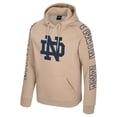 thumbnail image 2 of Men's Colosseum Tan Notre Dame Fighting Irish Big Break Raglan Hoodie, 2 of 3
