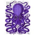 thumbnail image 2 of Fab Funky 15x18 White Modern Wood Framed Museum Art Print Titled - Purple Octopus, 2 of 4
