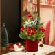 thumbnail image 4 of Desktop Mini Christmas Tree Christmas Decorations Minimalists Ornaments Gifts, 4 of 6