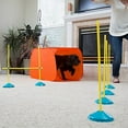 thumbnail image 6 of Outward Hound Dog Agility Starter Kit Indoor, 6 of 9