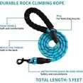 thumbnail image 2 of AIITLE Breathable Mesh-lined Dog Harness with A Leash - Waterproof Lightweight Oxford Cloth Pet Harness with Double Reflective Design, Adjustable No Pull Pet Supplies for Puppy Small Dogs Blue XS, 2 of 6