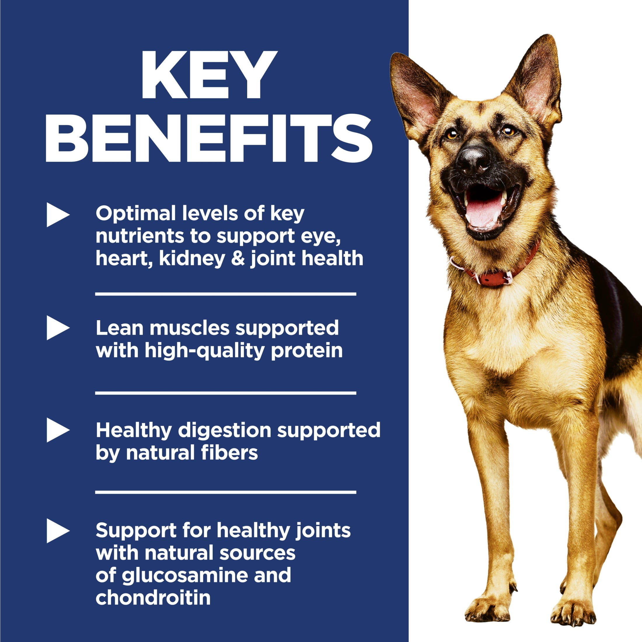 Hill's Science Diet Large Breed Chicken, Barley & Rice Dry Dog Food for 6+ Senior Dogs, 33lb Bag