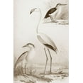 thumbnail image 2 of Unknown 11x14 Gold Ornate Wood Framed with Double Matting Museum Art Print Titled - Sepia Water Birds I, 2 of 4