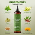thumbnail image 2 of Botanic Hearth Bhringraj & Amla Hair Oil | Nourishing Scalp & Hair Oil for Dry, Frizzy Hair | Supports Fuller-Looking Hair & Shine | Lightweight Botanical Formula | No Harsh Additives | 6.7 fl oz, 2 of 13