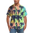 thumbnail image 1 of Chemises à Manches Courtes pour Hommes Chemises à Manches Courtes pour Hommes Chemise à Manches Courtes Imprimée Hawaïenne Chemise Décontractée à Col Rabattu Chemise à Manches Courtes Chemise Hawaïenne pour Hommes, 1 of 7