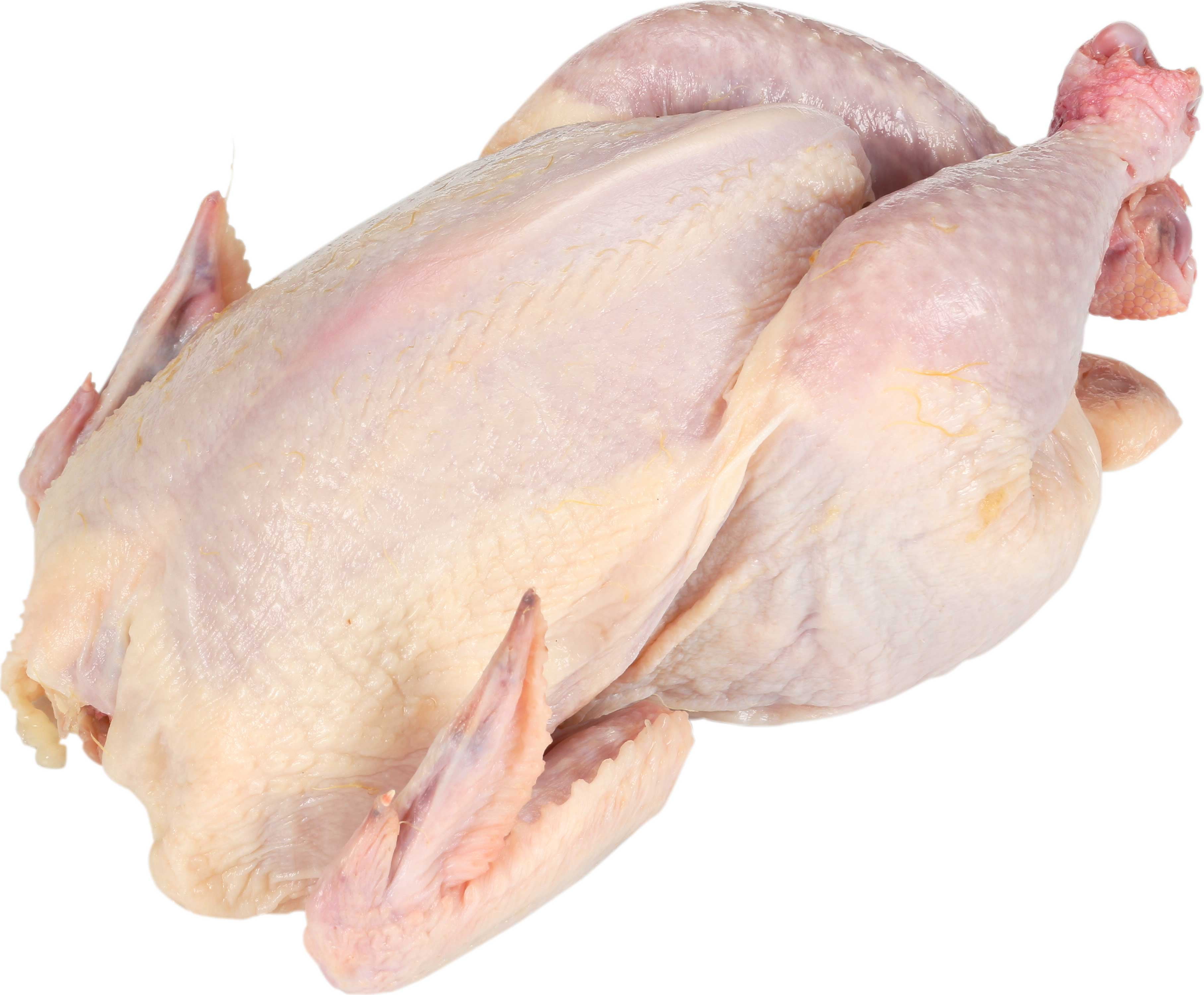 Tyson Whole Cornish Hen without Giblets, 19 Ounce 24 per Case