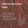 thumbnail image 3 of Igennus Vegan Astaxanthin 4mg Complex with Lutein and Zeaxanthin, 90 Small Softgels, from 42 mg Astapure, Natural Algae Antioxidant for Eyes, Skin & Joints, Non-GMO, H. Pluvialis, 3 of 9