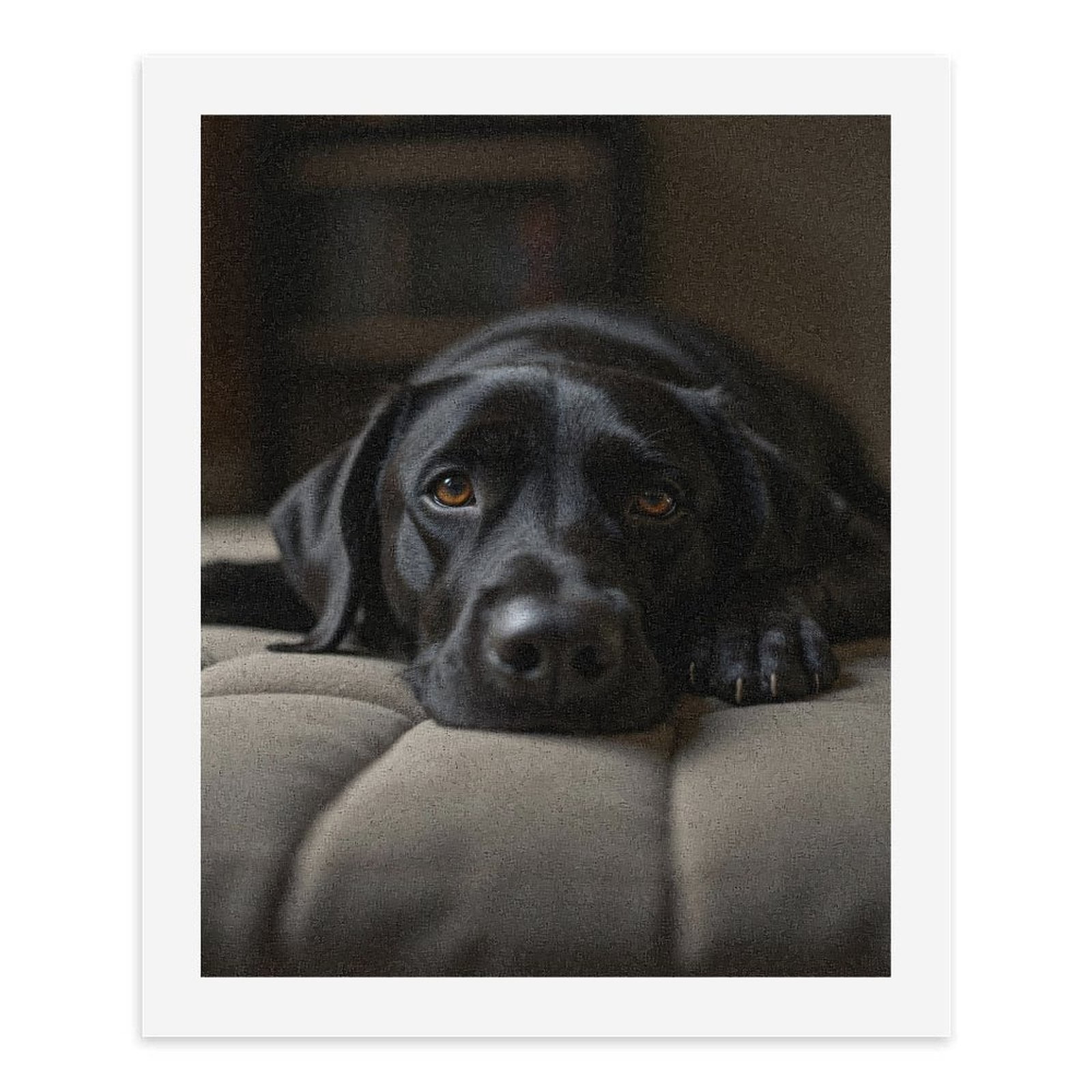 Paint By Numbers Kit for Adults Beginner - DIY Black Labrador Dog Relaxing Canvas Painting Kits for Adults, Frameless Paint By Number for Adults for Home Wall Decor 16x20 Inch