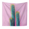 thumbnail image 3 of ZAXARRA Tapisserie Murale Multipurpose Cactus Imprimer Toile de Fond Serviette de Plage, 3 of 6