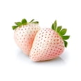 thumbnail image 4 of 100 Seeds WHITE SOUL STRAWBERRY Fragaria Vesca Fruit Flower Berry Seeds, 4 of 11