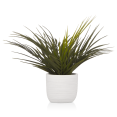 thumbnail image 1 of Bouclair Plante Tropicale en Pot en Céramique Texturée Blanche, 1 of 4