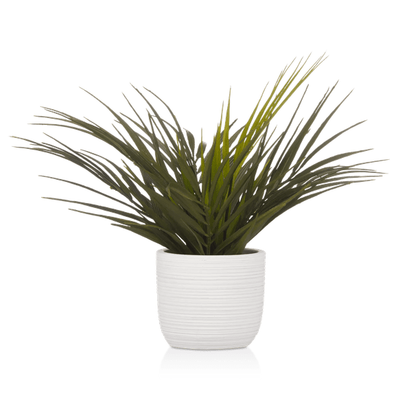 Bouclair White Textured Ceramic Potted Tropical Plant