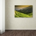 thumbnail image 2 of Trademark Fine Art "Sunset Rice II" Canvas Art by Philippe Hugonnard, 2 of 2