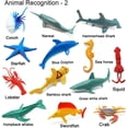 thumbnail image 3 of PHOGARY 24-Pack Realistic Plastic Ocean Animal Figures - Children's Educational Bath Toys, HN202603407-01, 5199906847, 3 of 8