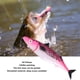 thumbnail image 5 of Se?uelo De Pescado, Se?uelo De Pescado De Mar Profundo, Cebo De Pescado, Accesorio De Pesca, El Mejor Regalo Para Padre, Hijo, Marido, Prometido Y Novio, Pesca En El Río, Pesca Ccdes Ocean Broad Surfboard Fins, 5 of 8
