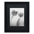 thumbnail image 2 of Moises Levy 'Flowers on Ice-1' Black Matted Framed Art, 2 of 5