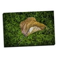 thumbnail image 2 of Gango Home Decor Contemporary Cottonwood Leaf by Kathy Mahan (Ready to Hang); One 36x24in Hand-Stretched Canvas, 2 of 4