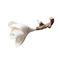 thumbnail image 3 of Incense Burner Incense Holder Flower Decoration Ceramic Censer for Office Spring, 3 of 9