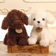 thumbnail image 5 of Cartoon Cute Poodle Dog Puppy Plush Stuffed Doll Huggable Toy Home Ornament Gift_a_hf, 5 of 5