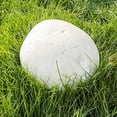 thumbnail image 2 of Gourmet and Medicinal Mushroom Cultures (Giant Puffball (Calvatia gigantea)), 2 of 3